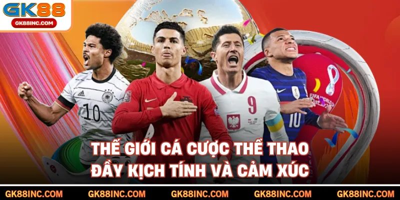 Thế giới cá cược thể thao đầy kịch tính và cảm xúc