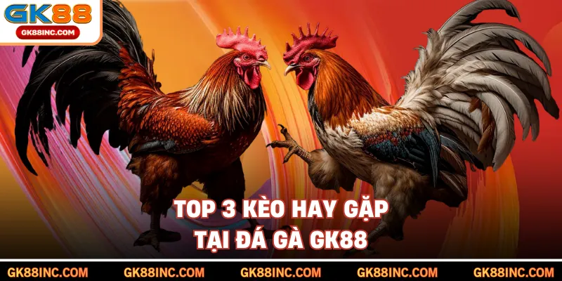 Top 3 kèo hay gặp tại đá gà GK88